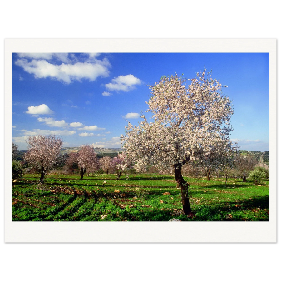 6c776faf-715a-4b01-84cb-167ea7228b40