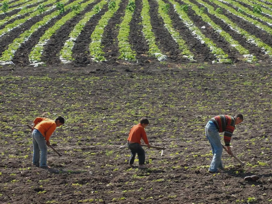 The Three Boys & Something Else!