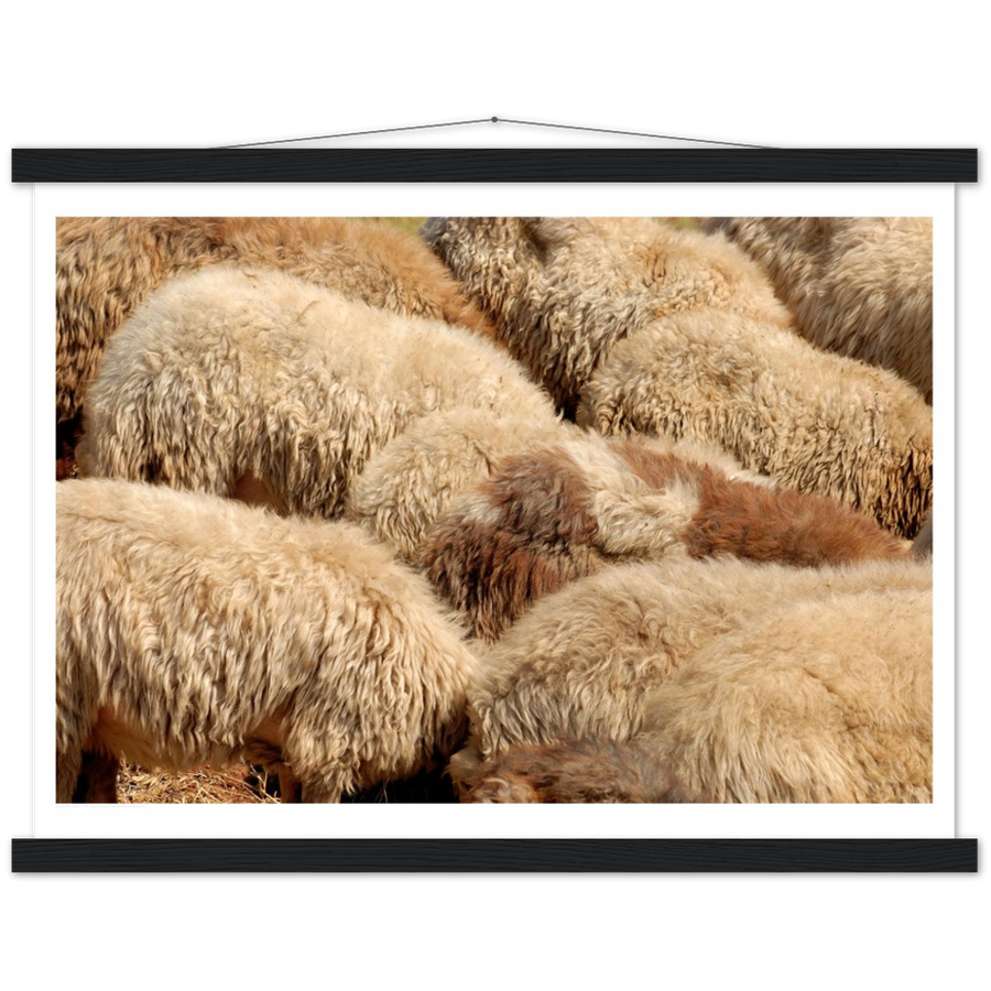 The Hiding Lambs