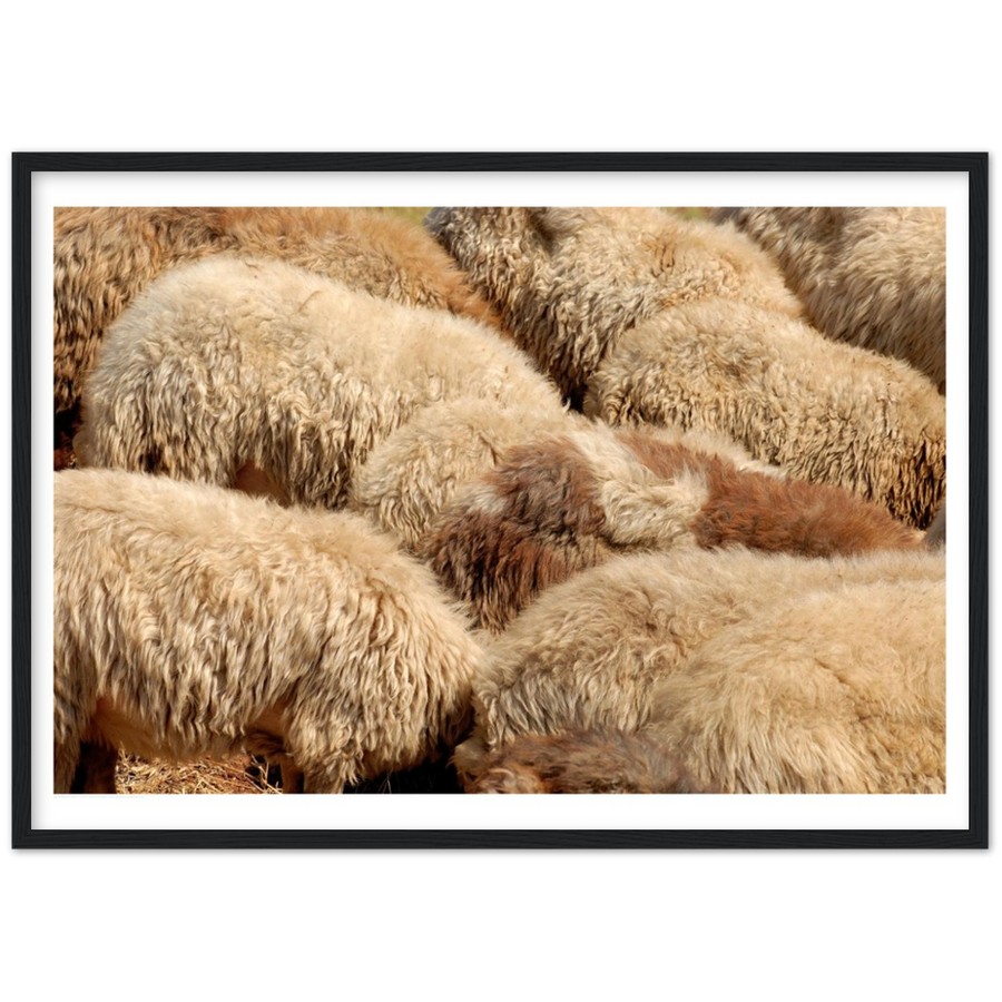 The Hiding Lambs